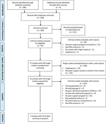 Identifying and synthesizing components of perinatal mental health peer support – a systematic review